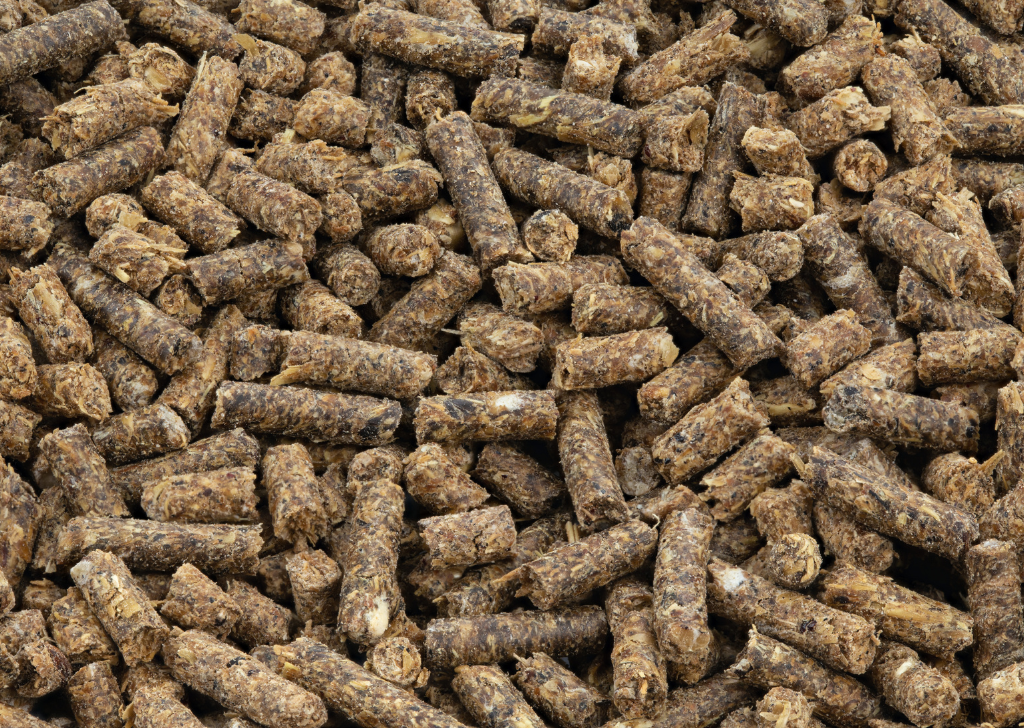 16% Dairy Pellets 50#