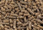 17% Rabbit Pellets 50#