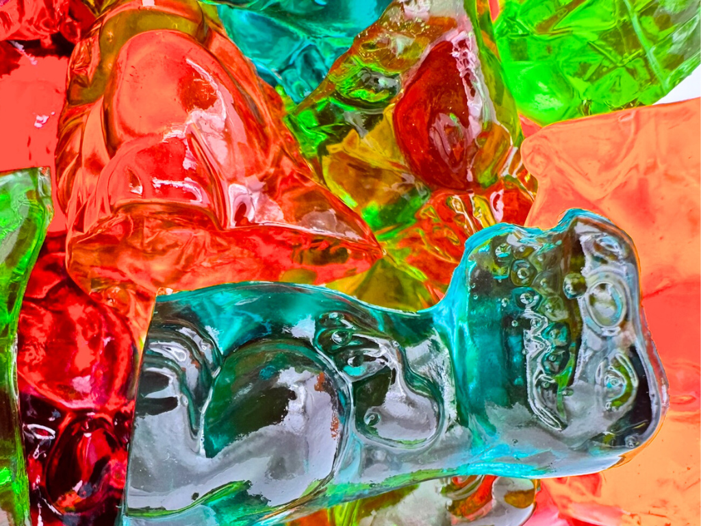 4D GUMMY DINOSAURS 9.6oz