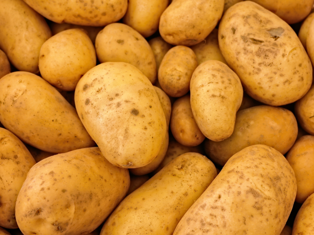 CHEF POTATO 50lbs, $0.50/lb