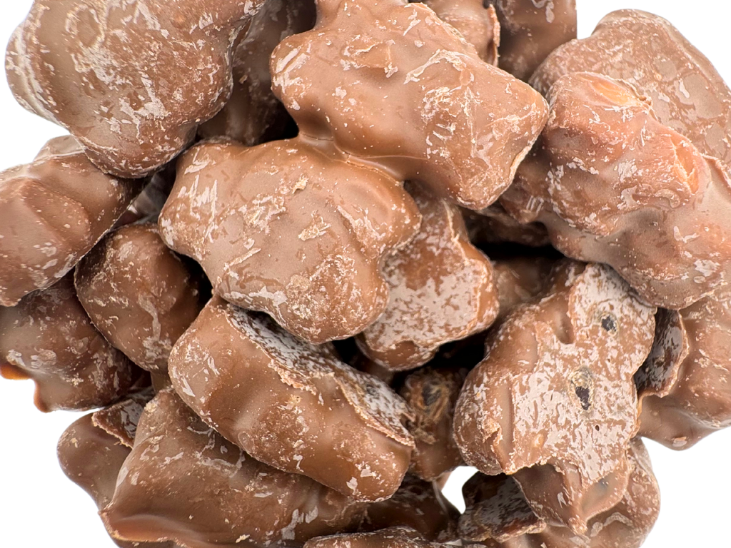 CHOCOLATE COVERED GUMMY BEARS 9.9oz