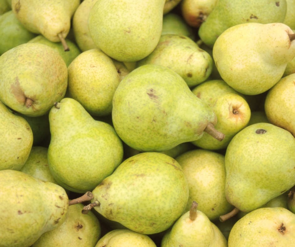 NY Bartlett Pears 40lbs