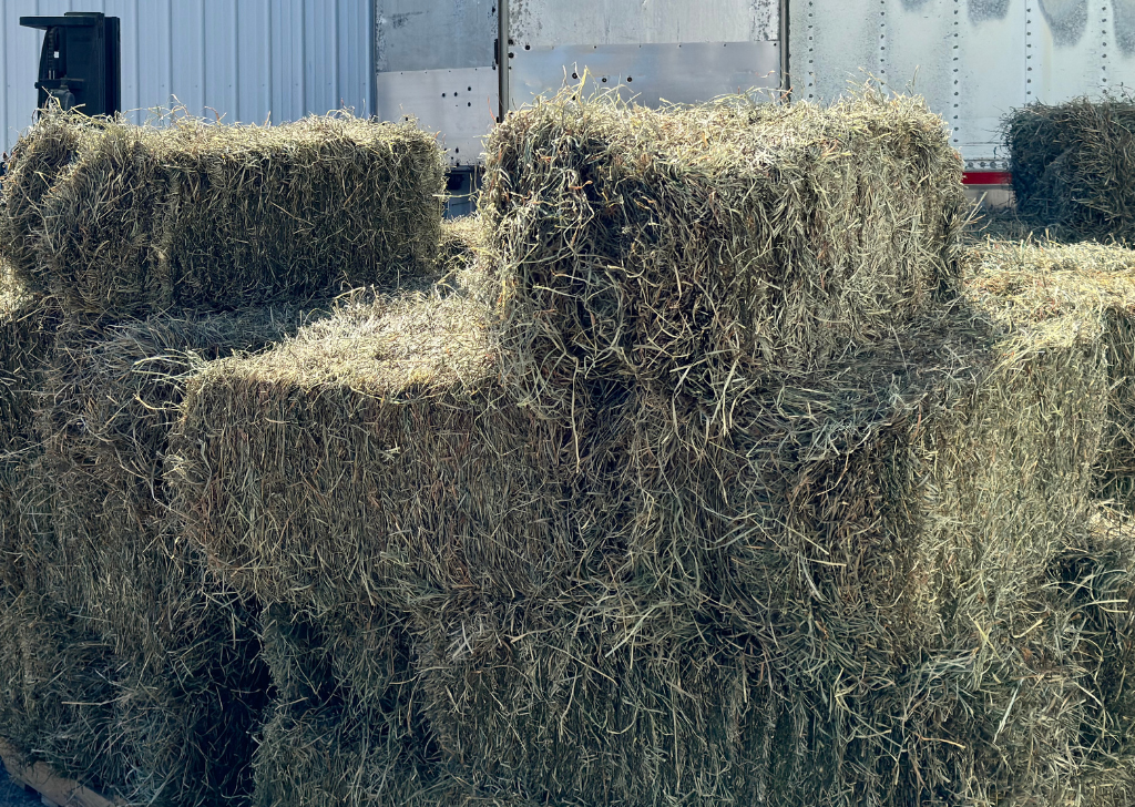 Hay Bales