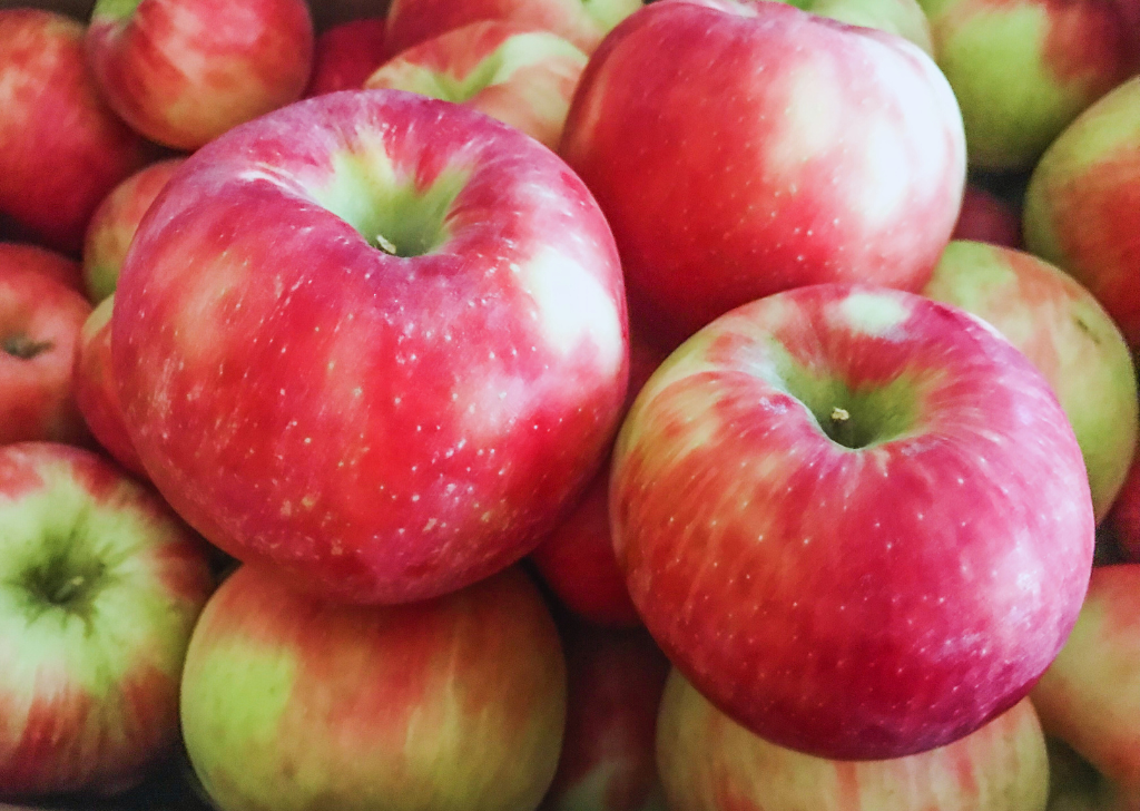 HONEY CRISP APPLES- Bushel