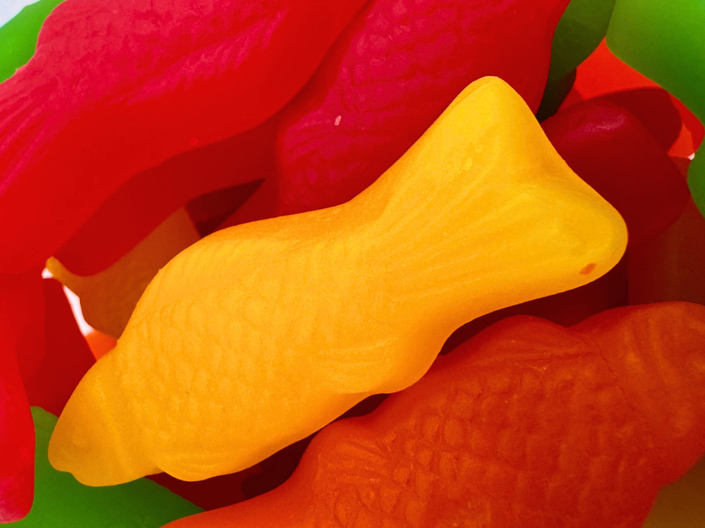 ASSORTED JUJU FISH 11.5oz