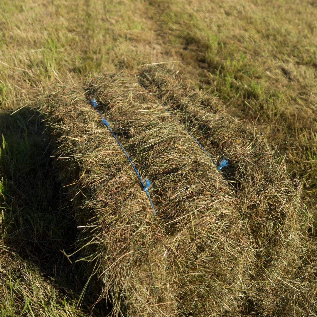 Hay Bales